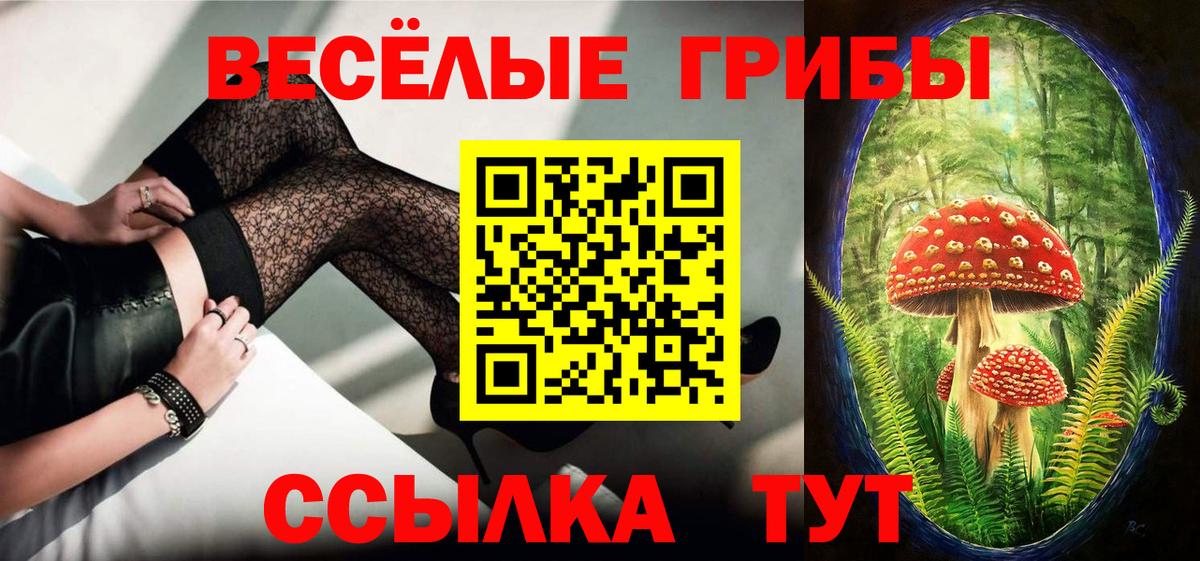Тамбов  Галлюциногенные грибы мицелий  Вход с VPN 
